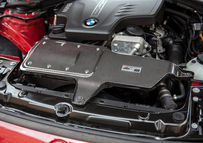 AWE S-FLO Carbon Intake for BMW 228i/320i/328i/428i image 2