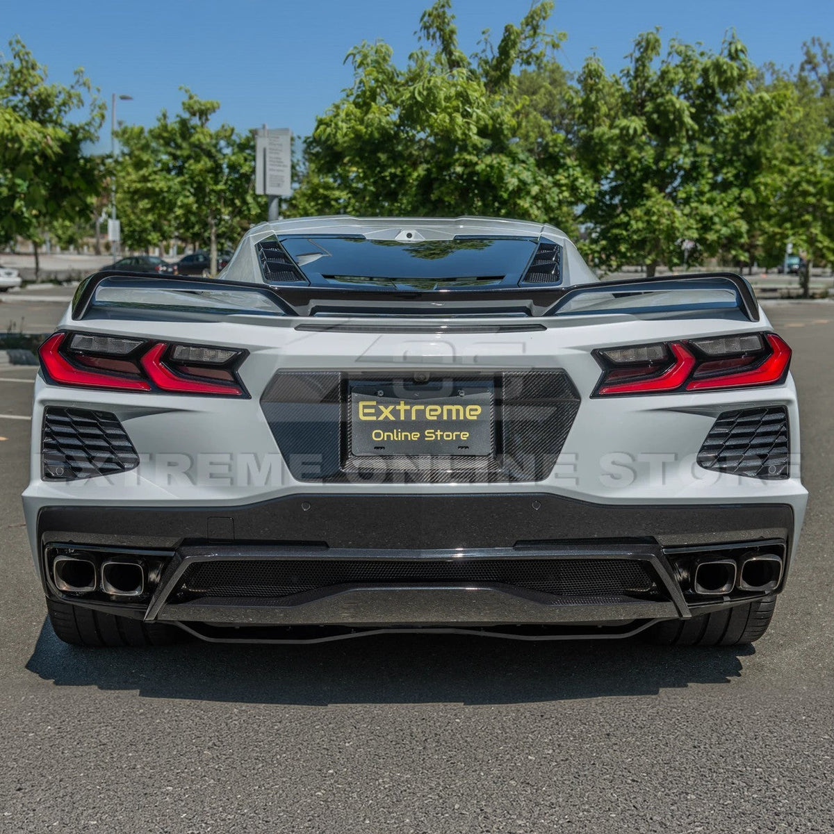 Corvette C8 DRY CARBON FIBER License Plate Backing image 6