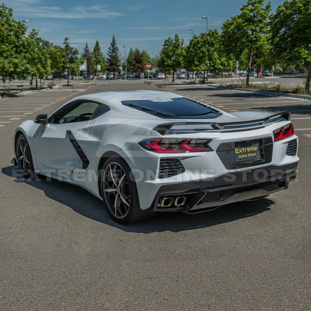 Corvette C8 DRY CARBON FIBER License Plate Backing image 4