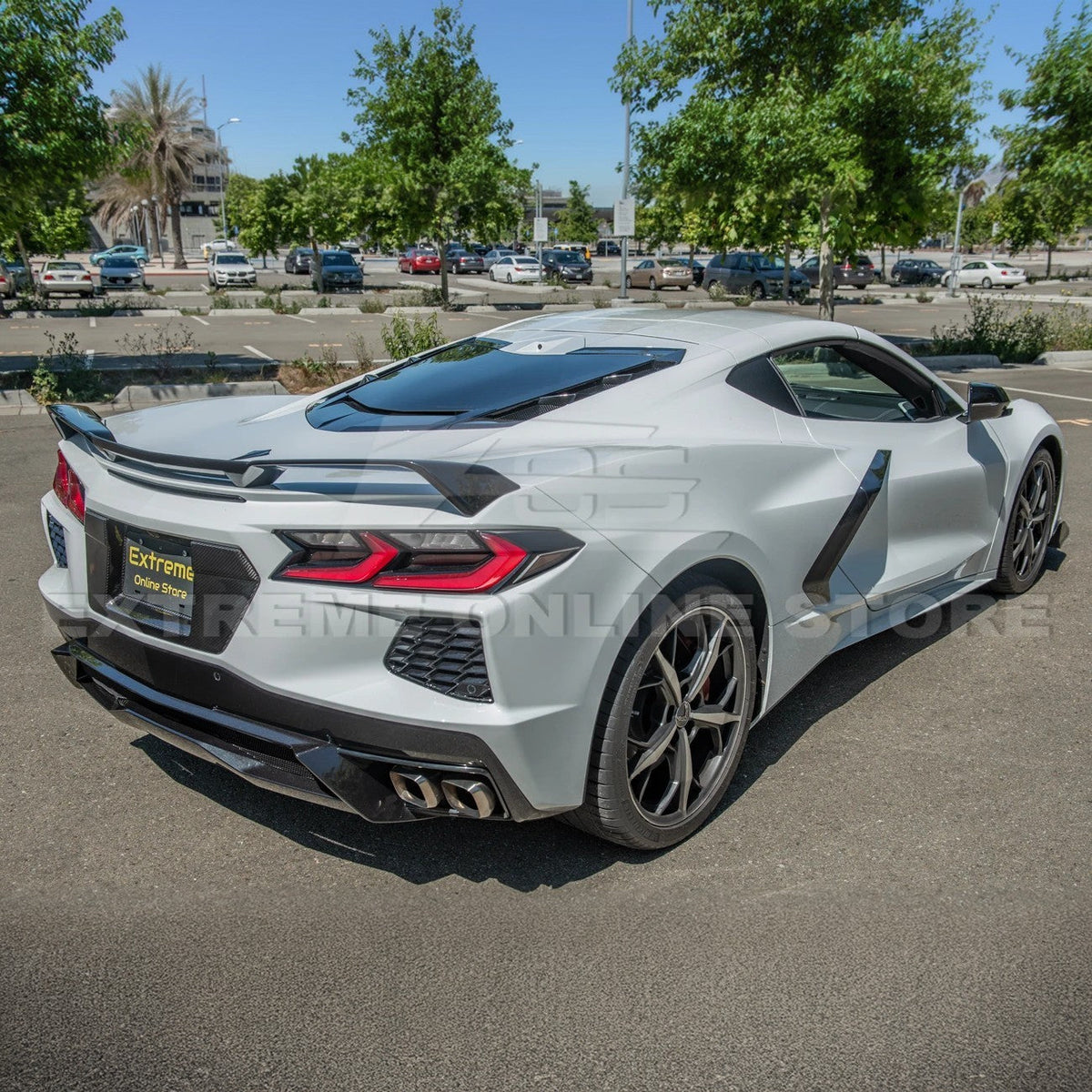 Corvette C8 DRY CARBON FIBER License Plate Backing image 7