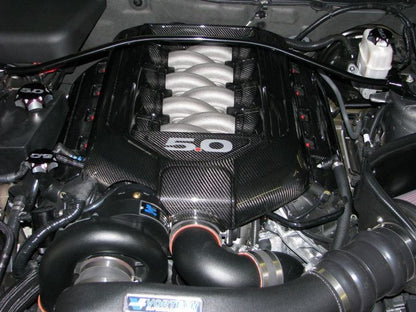 Carbon Fiber Engine Plenum Cover-Ford Mustang GT 5.0  2011-2014 (Manual Trans)