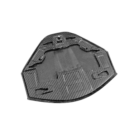 Carbon Fiber Rear Camera Decklid Housing Panel - C8 Corvette