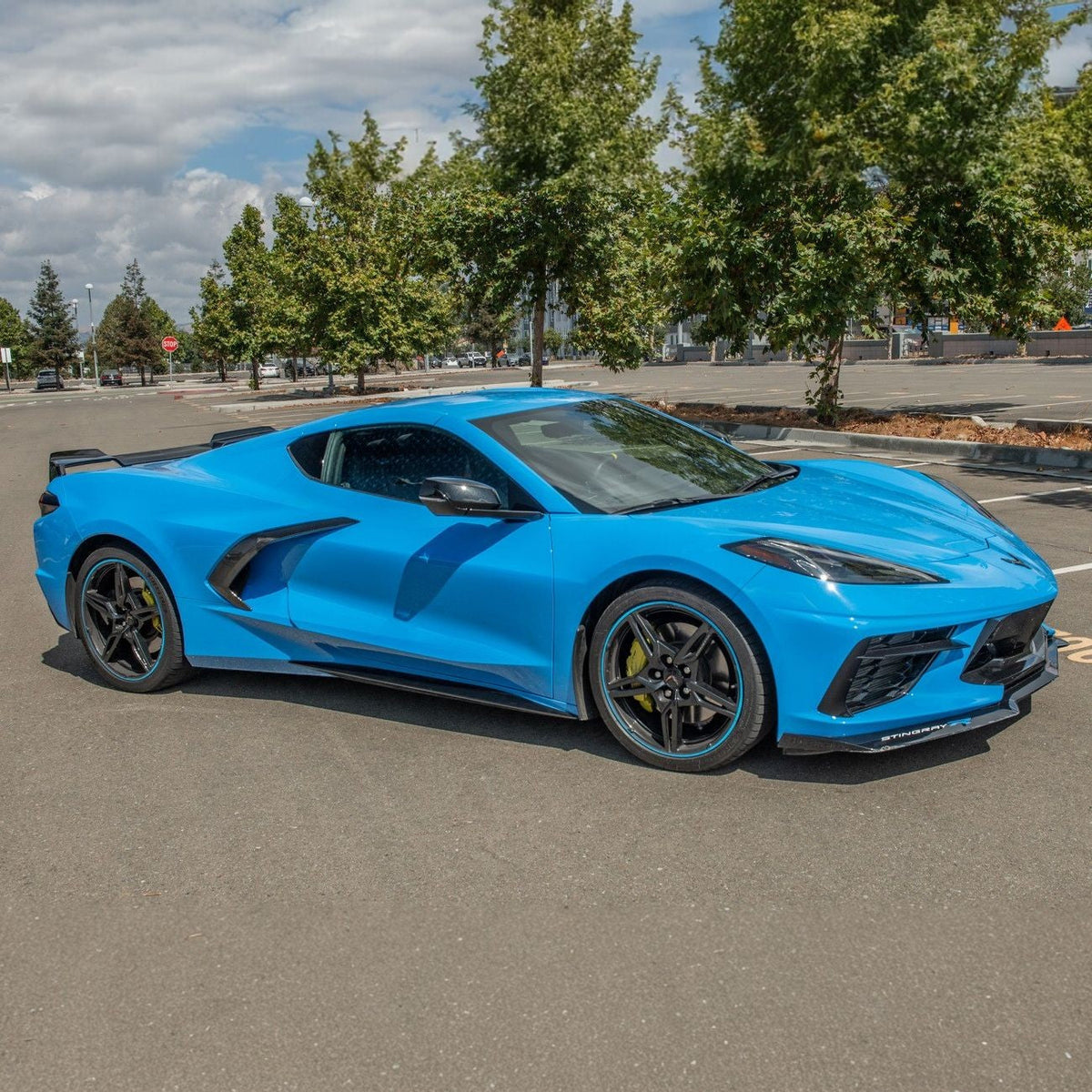Corvette C8 Carbon Fiber Replacement Side Door Handles image 2