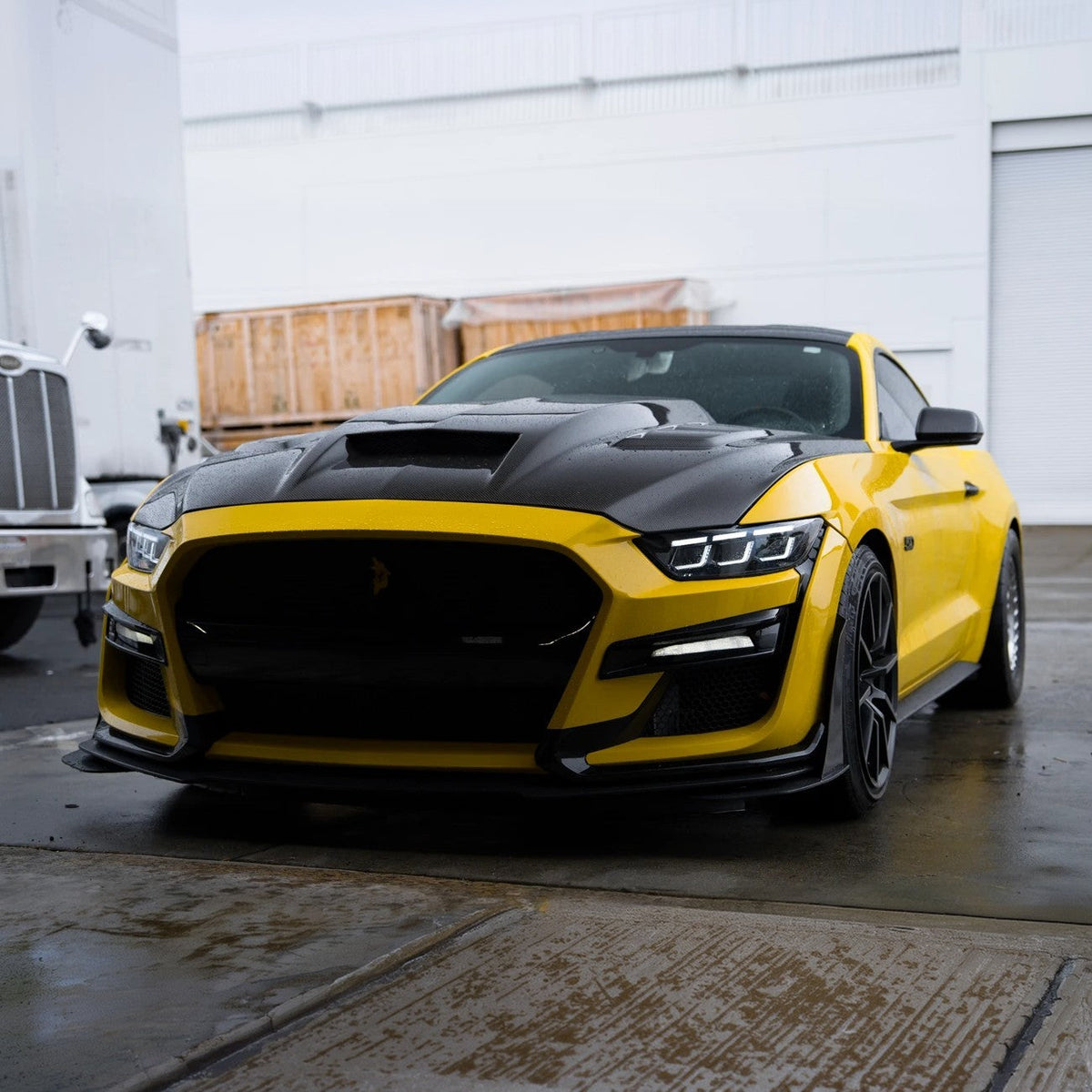 2015-17 Ford Mustang | S650 LED DRL Sequential Signal Projector Headlights image 7