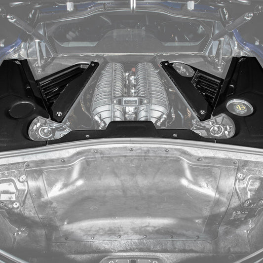 Corvette C8 CARBON FLASH Engine Bay Trim Appearance Panel Cover image 1