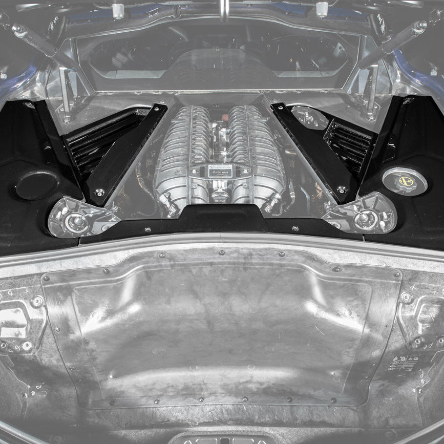 Corvette C8 CARBON FLASH Engine Bay Trim Appearance Panel Cover image 1