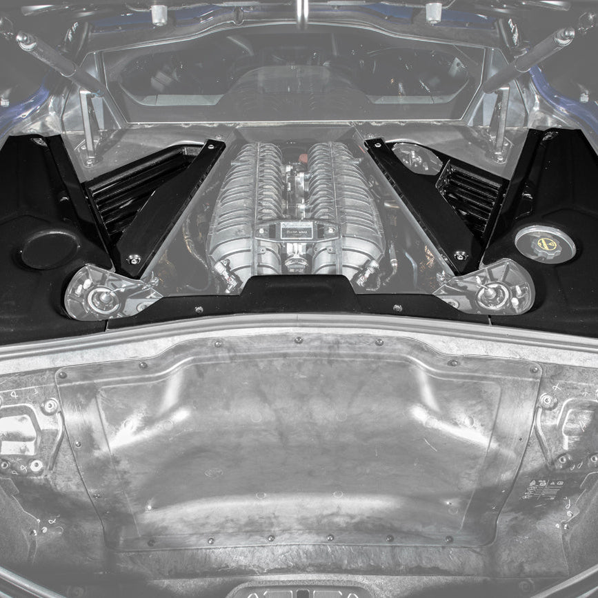 Corvette C8 CARBON FLASH Engine Bay Trim Appearance Panel Cover image 3