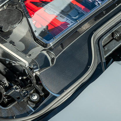 Corvette C8 E-Ray Convertible CARBON FLASH Engine Bay Panel Clear Cover image 27