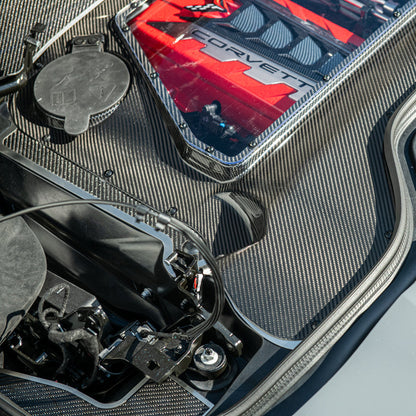 Corvette C8 E-Ray Convertible CARBON FLASH Engine Bay Panel Clear Cover image 33