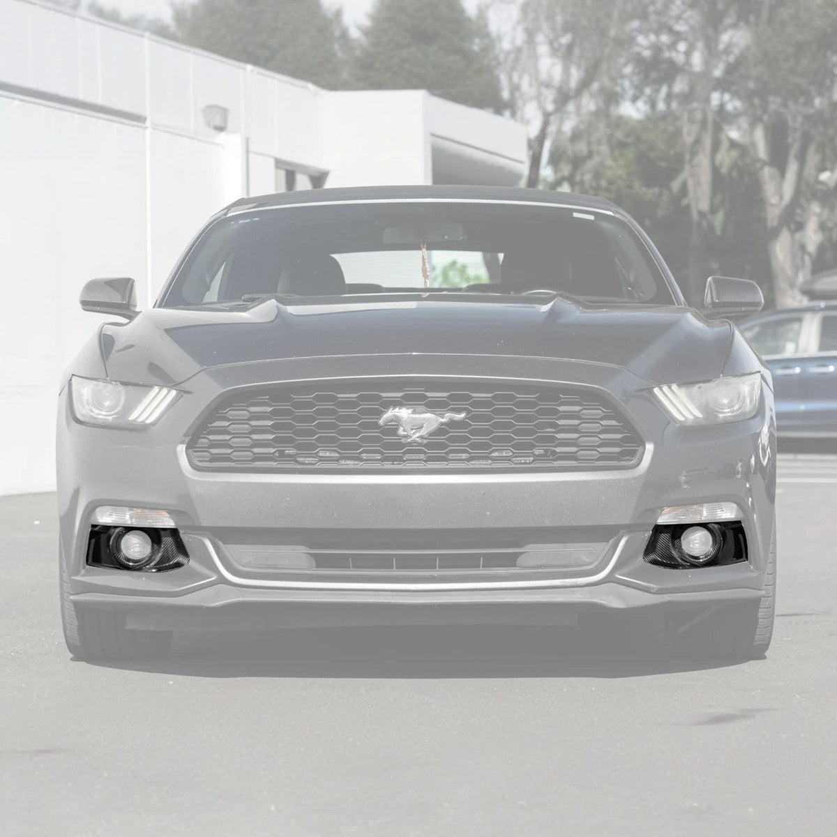 2015-17 Ford Mustang DRY CABON FIBER Front Bumper Fog Light Bezel Cover Pair image 2