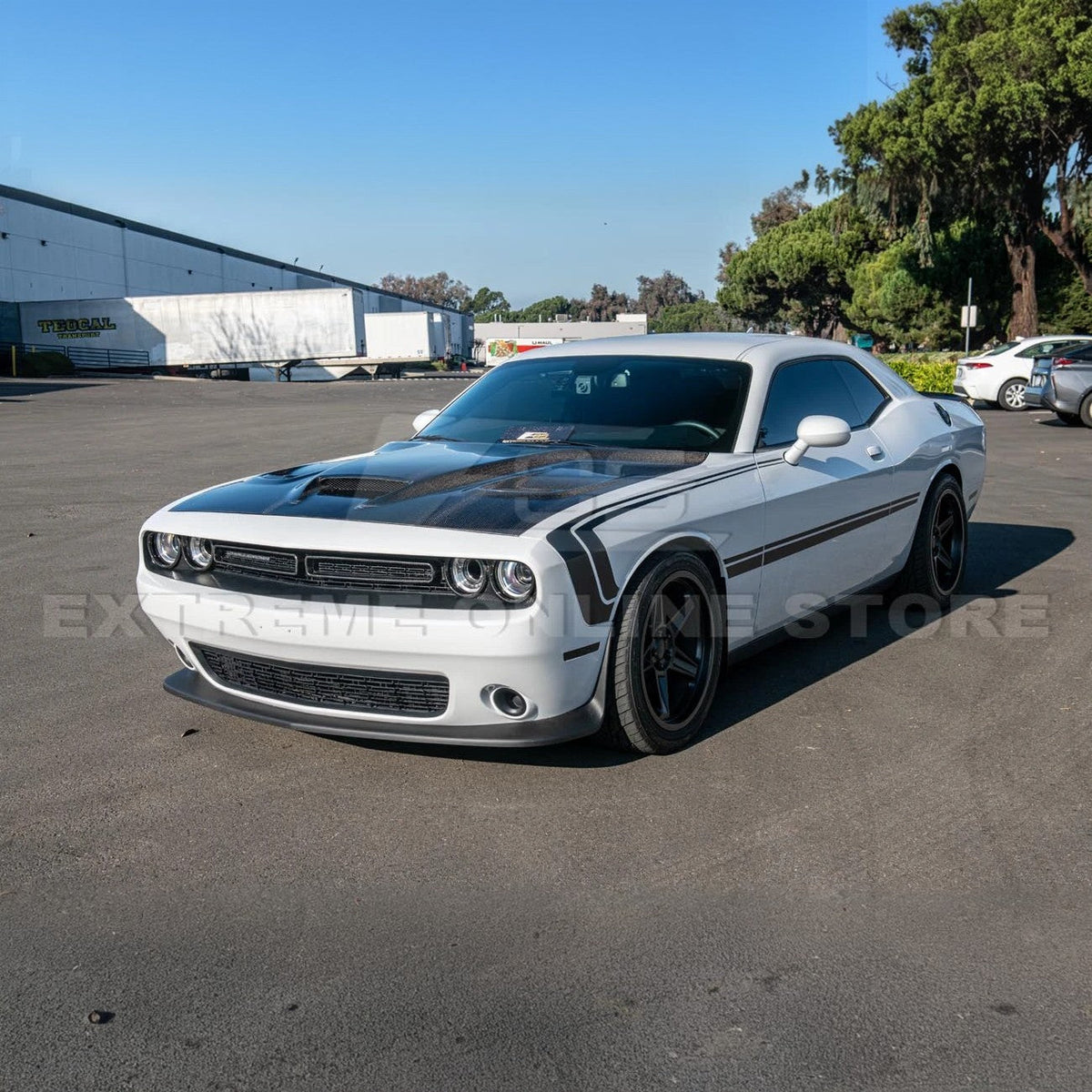 2015-23 Dodge Challenger Front Bumper Grille Trim Insert Overlay image 3