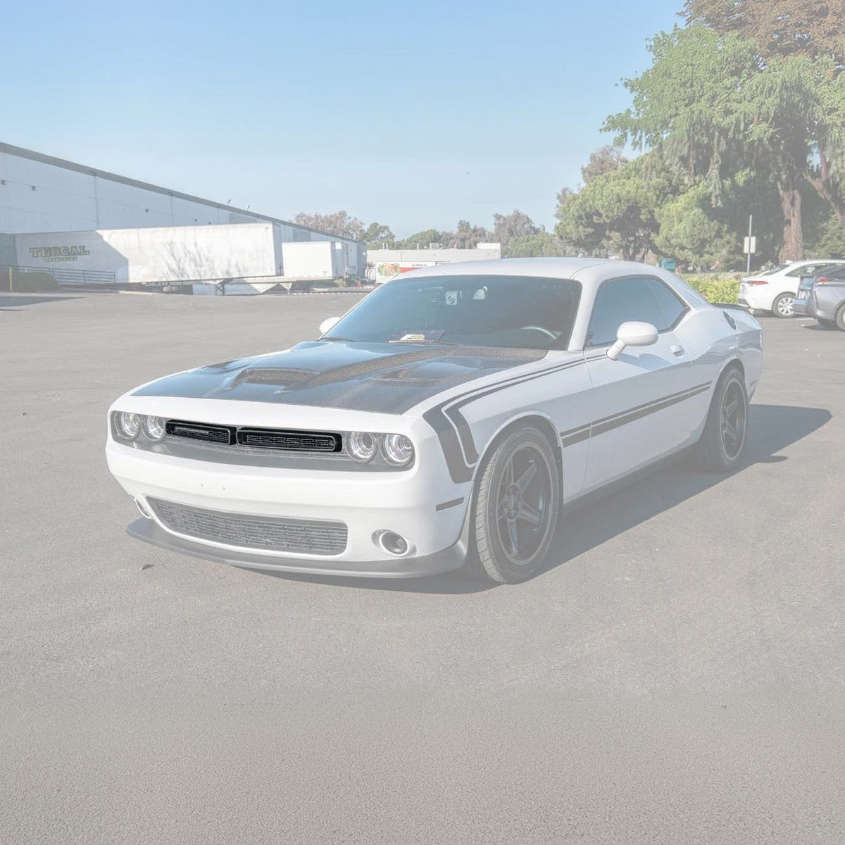 2015-23 Dodge Challenger Front Bumper Grille Trim Insert Overlay image 2