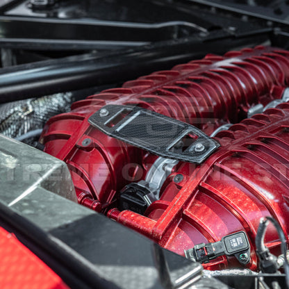 Corvette C8 Z06 DRY CARBON FIBER Engine Bay Builder Plaque image 6