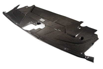 Carbon Fiber Cooling Plate -  2024-Current Ford S650 Mustang