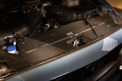 Carbon Fiber Cooling Plate -  2024-Current Ford S650 Mustang