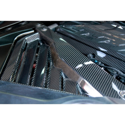 Carbon Fiber Engine Plenum Cover and Appearance Panels Package-Chevrolet C8  Corvette