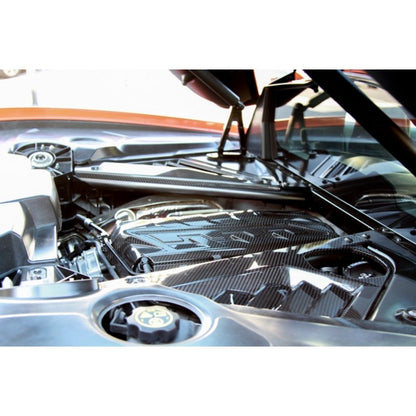 Carbon Fiber Engine Plenum Cover and Appearance Panels Package-Chevrolet C8  Corvette