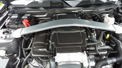 Carbon Fiber  Plenum Cover-2005-2009 Ford Mustang GT