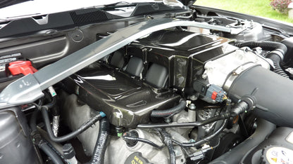 Carbon Fiber  Plenum Cover-2005-2009 Ford Mustang GT