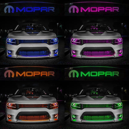 WindRestrictor® 2006-Up Dodge Charger Rear Add On Glow Plate image 18