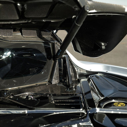 Corvette C8 Dry Carbon Fiber Rear Hatch Hinge Pillar Trim Cover Overlays image 11