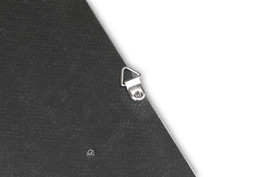 Fabspeed Carbon Fiber Wall Art - Aston Martin