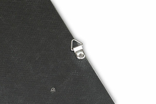 Fabspeed Carbon Fiber Wall Art - Audi