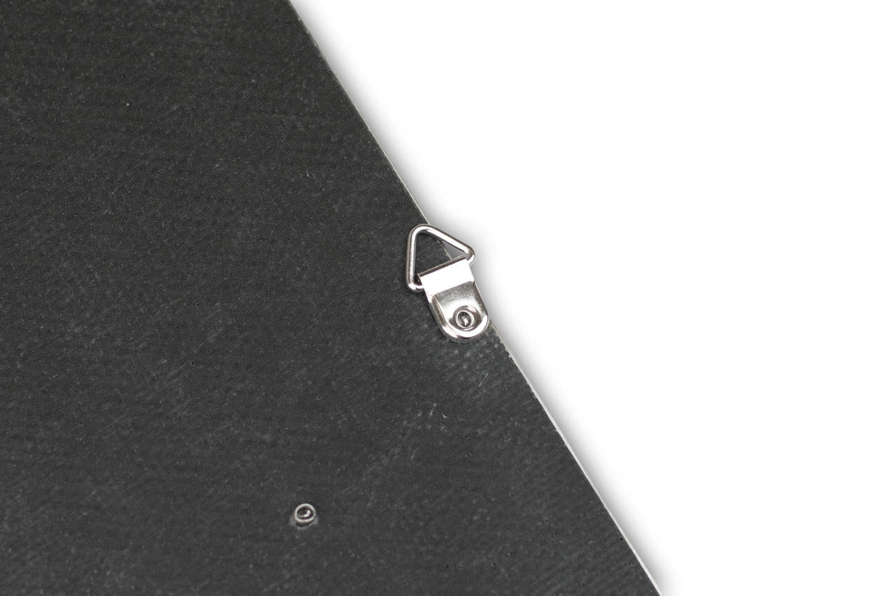 Fabspeed Carbon Fiber Wall Art - Nissan GT-R