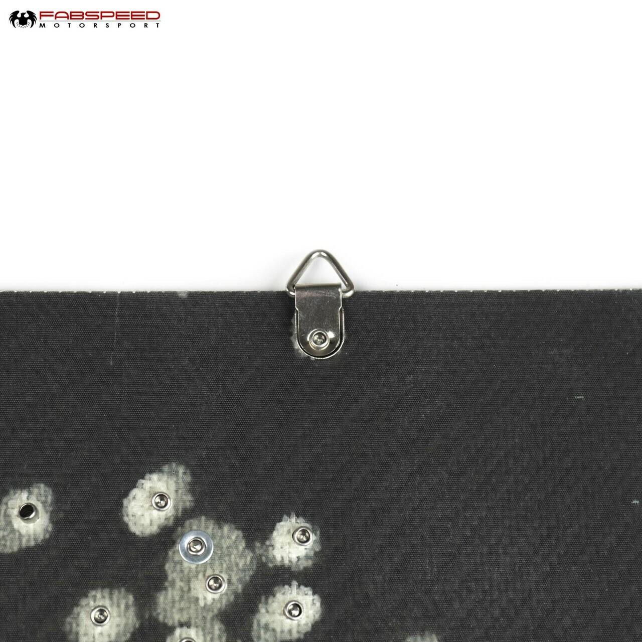 Fabspeed Carbon Fiber Wall Art - Shelby GT350