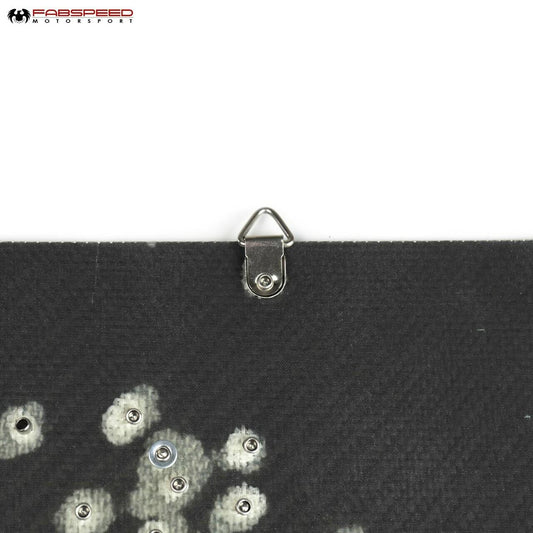 Fabspeed Carbon Fiber Wall Art - Shelby GT350