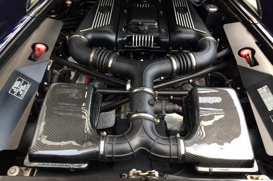 Fabspeed Ferrari F355 Carbon Fiber Air Box Covers (1996-1999)