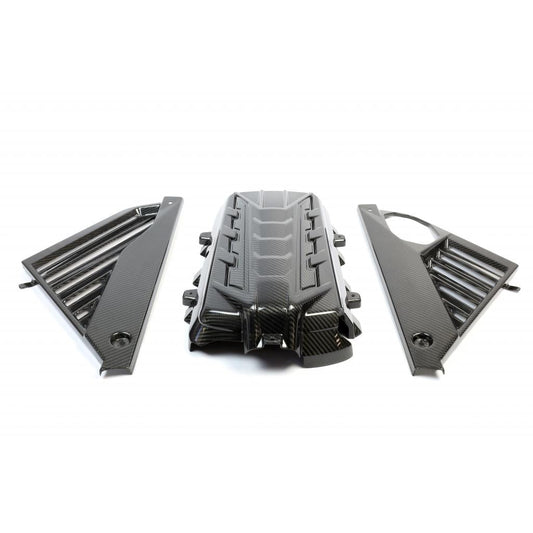 Carbon Fiber Engine Plenum Cover and Appearance Panels Package-Chevrolet C8  Corvette