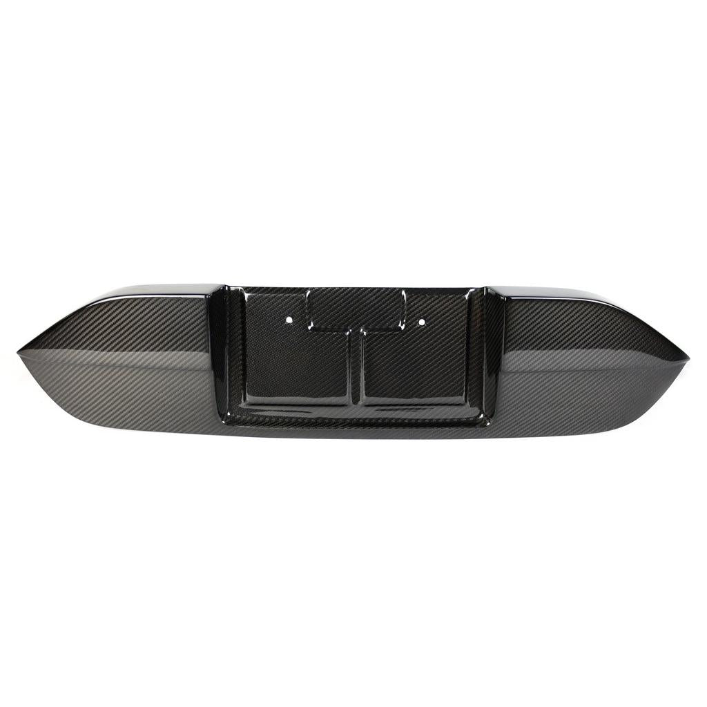Carbon Fiber License Plate Backing- Honda FK8 Civic Type R  2017 - 2021