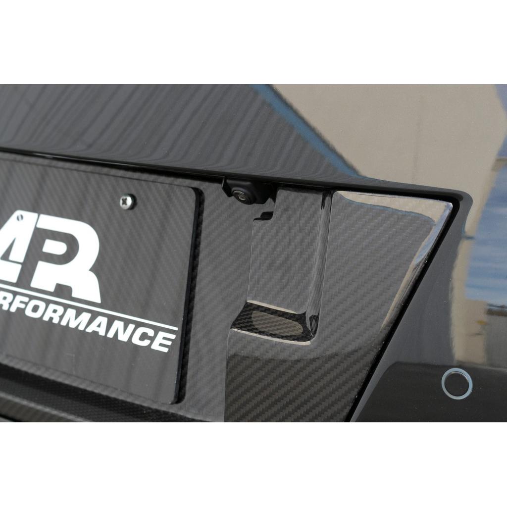 Carbon Fiber License Plate Backing- 2017-2022 Nissan R35  GTR