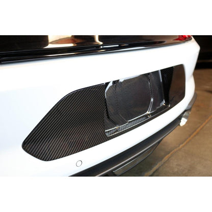 Carbon Fiber  License Plate Backing-2018-2023 Ford Mustang