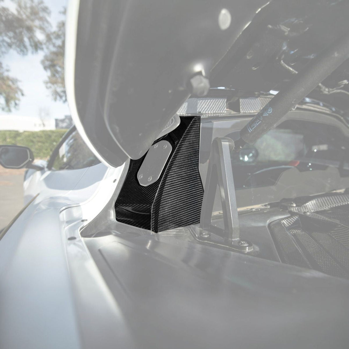 Corvette C8 Dry Carbon Fiber Rear Hatch Hinge Pillar Trim Cover Overlays image 1