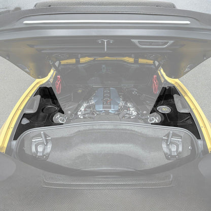 Corvette C8 Carbon Fiber 3-Piece Rear Engine Bay Cover Overlay Panel Set image 1